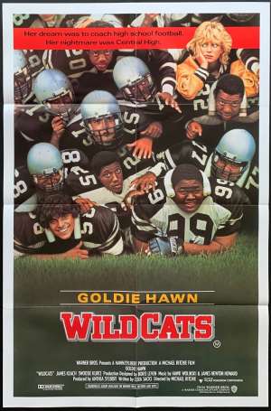 Wildcats Movie Poster Original One Sheet Goldie Hawn
