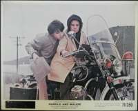 Harold And Maude Movie Still Original 8x10 Rare 1971 Ruth Gordon