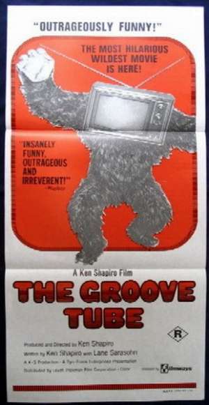 The Groove Tube Poster Original Daybill 1974 Chevy Chase Ken Shapiro