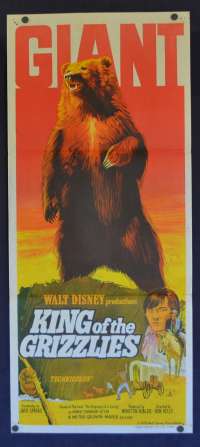 King Of The Grizzlies Daybill Poster Original 1970 Disney John Yesno Chris Wiggins