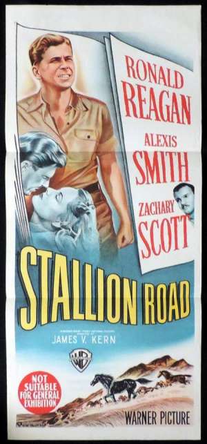 Stallion Road Poster Original Daybill 1947 Ronald Reagan Alexis Smith Vintage