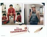 The Royal Tenenbaums Lobby Card 5 USA 11x14 Original Owen Wilson