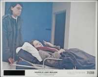 Harold And Maude Movie Still Original 8x10 Rare 1971 Ruth Gordon